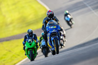 Oulton-Park-20th-March-2020;PJ-Motorsport-Photography-2020;anglesey;brands-hatch;cadwell-park;croft;donington-park;enduro-digital-images;event-digital-images;eventdigitalimages;mallory;no-limits;oulton-park;peter-wileman-photography;racing-digital-images;silverstone;snetterton;trackday-digital-images;trackday-photos;vmcc-banbury-run;welsh-2-day-enduro